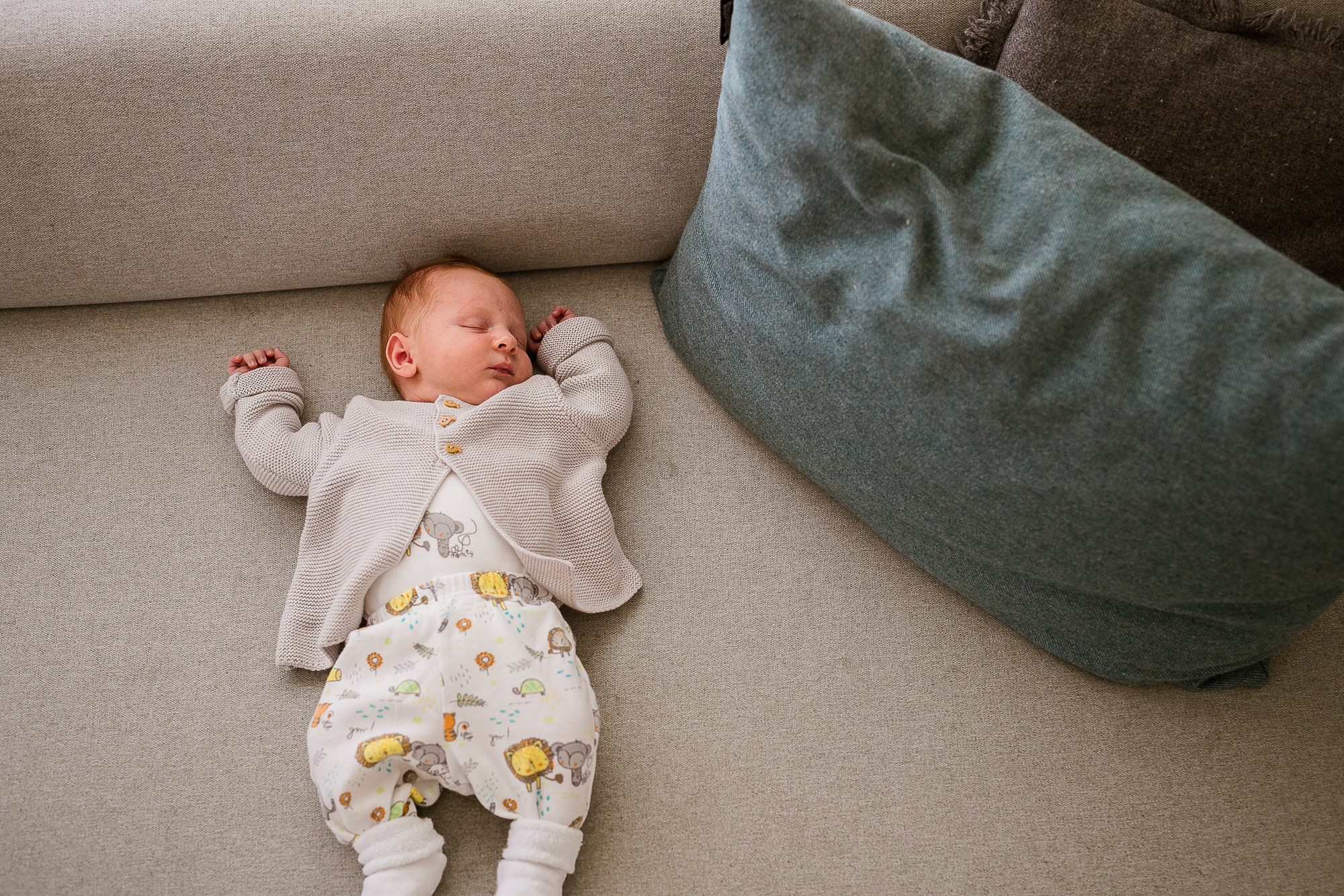 Export x3 1DX28384 Familienfotoshooting 2019 Hefti